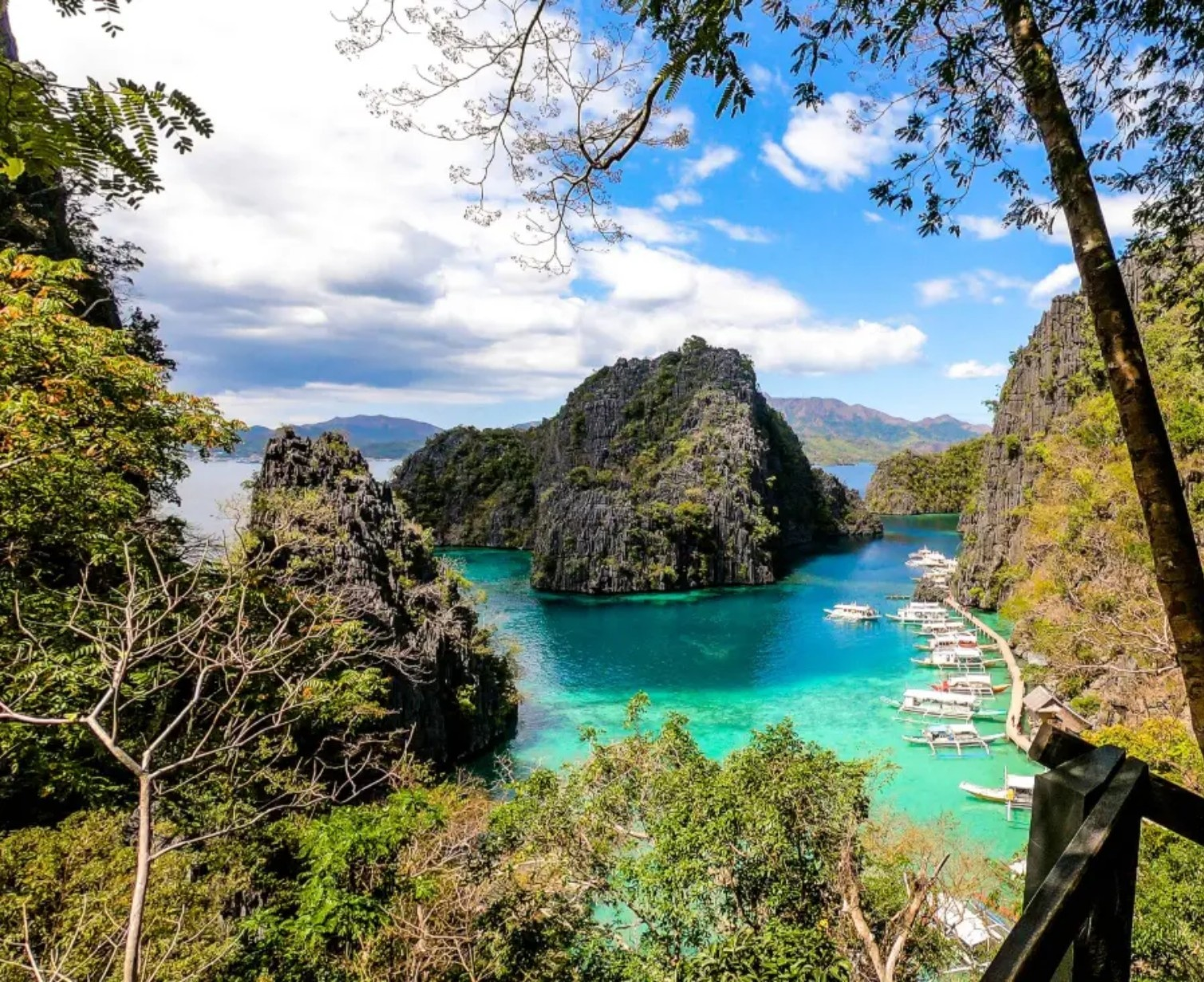 Download Trip Banner