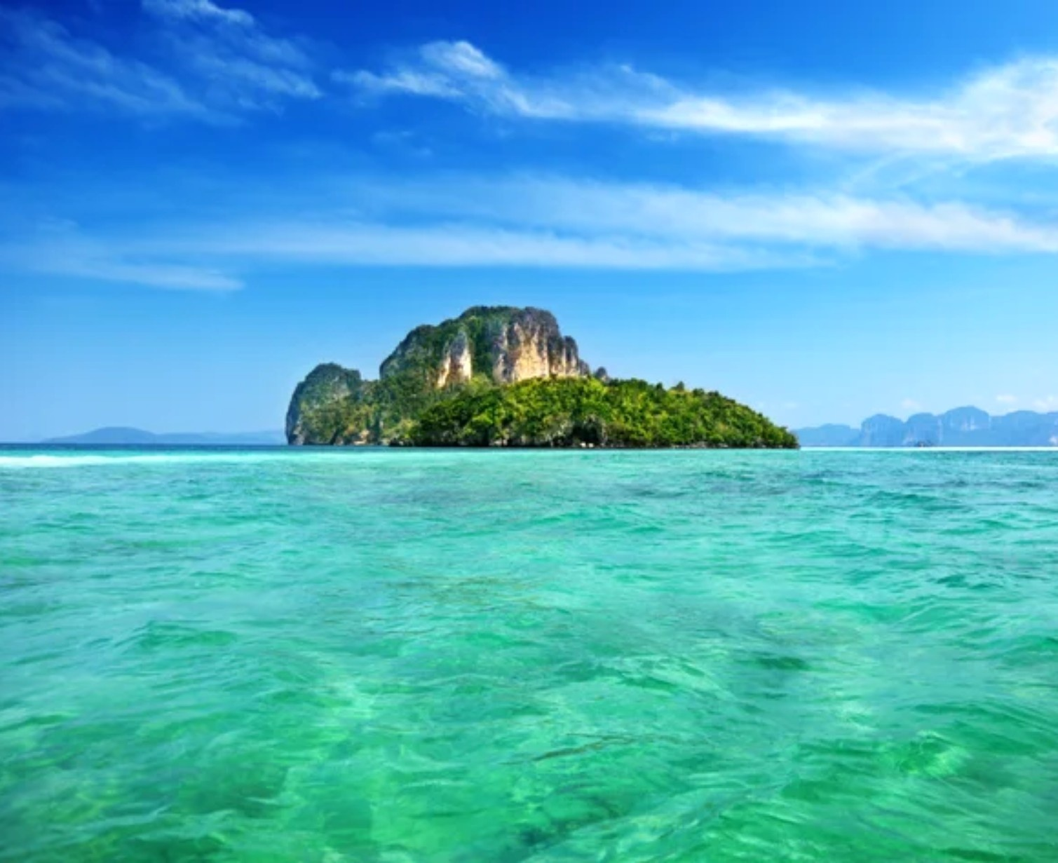 Download Trip Banner