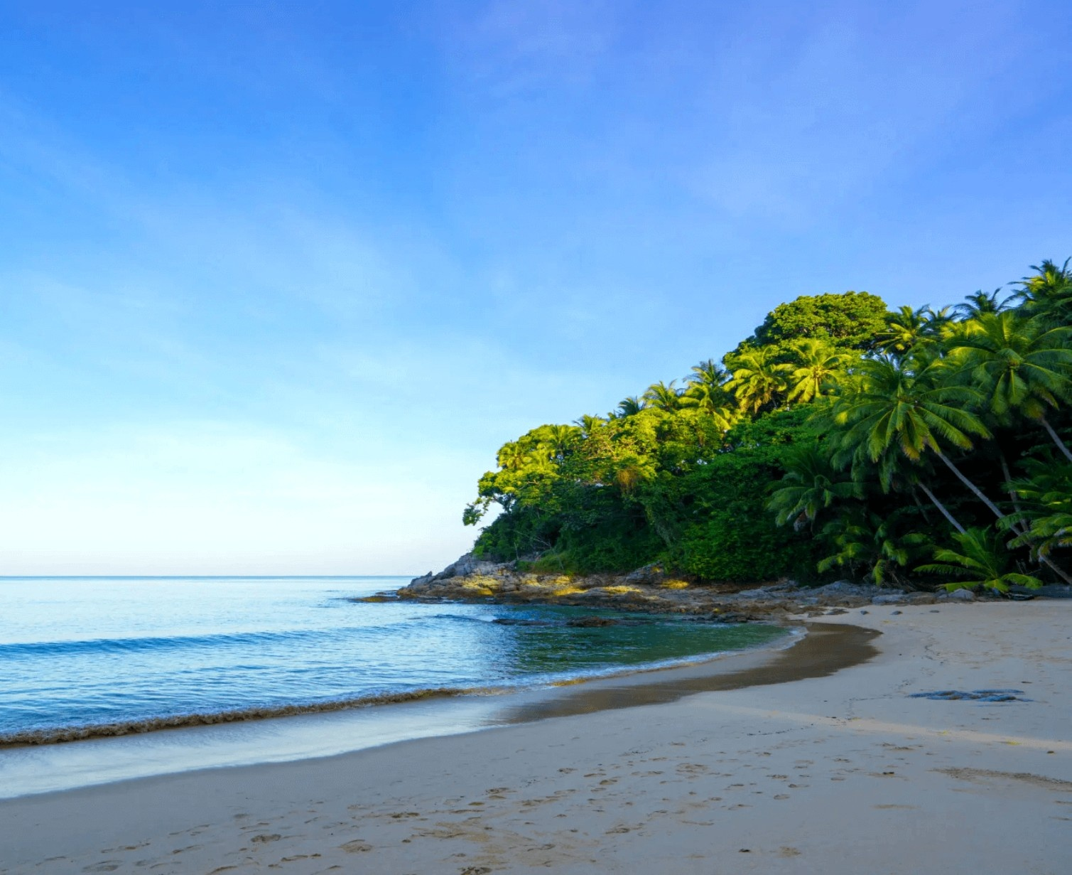 Download Trip Banner