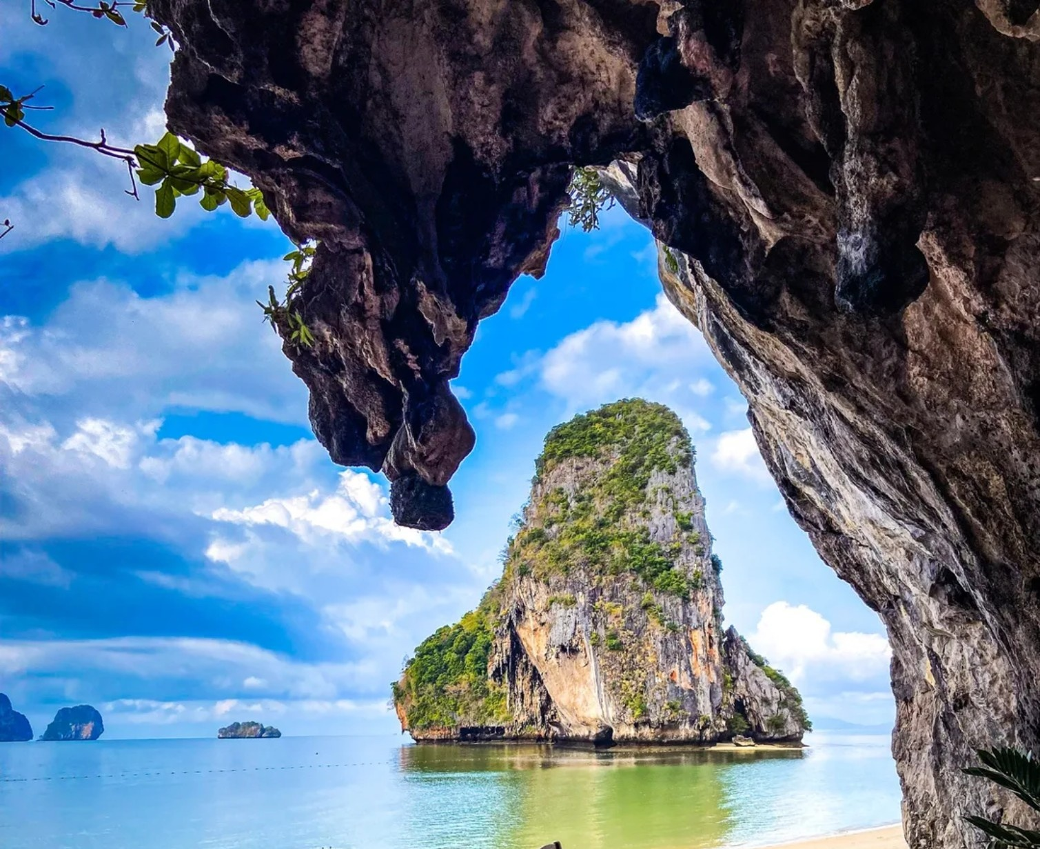 Download Trip Banner