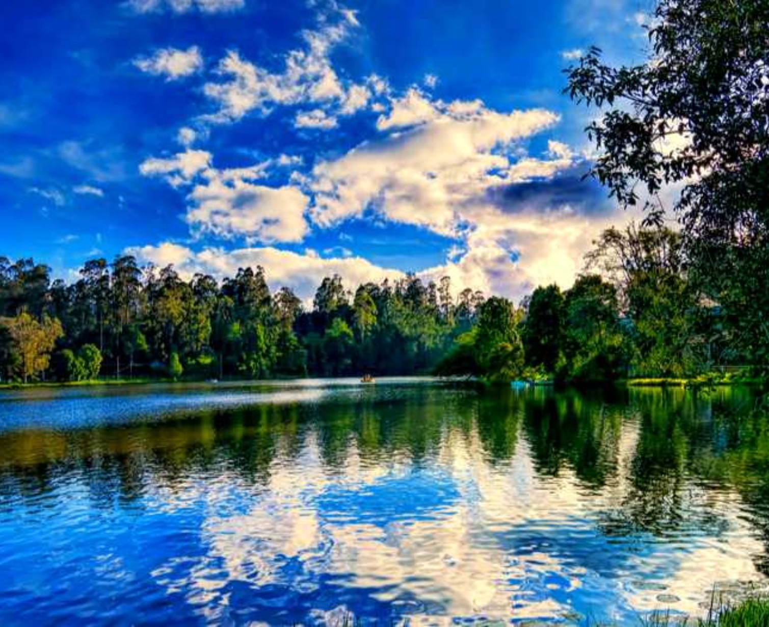 Download Trip Banner