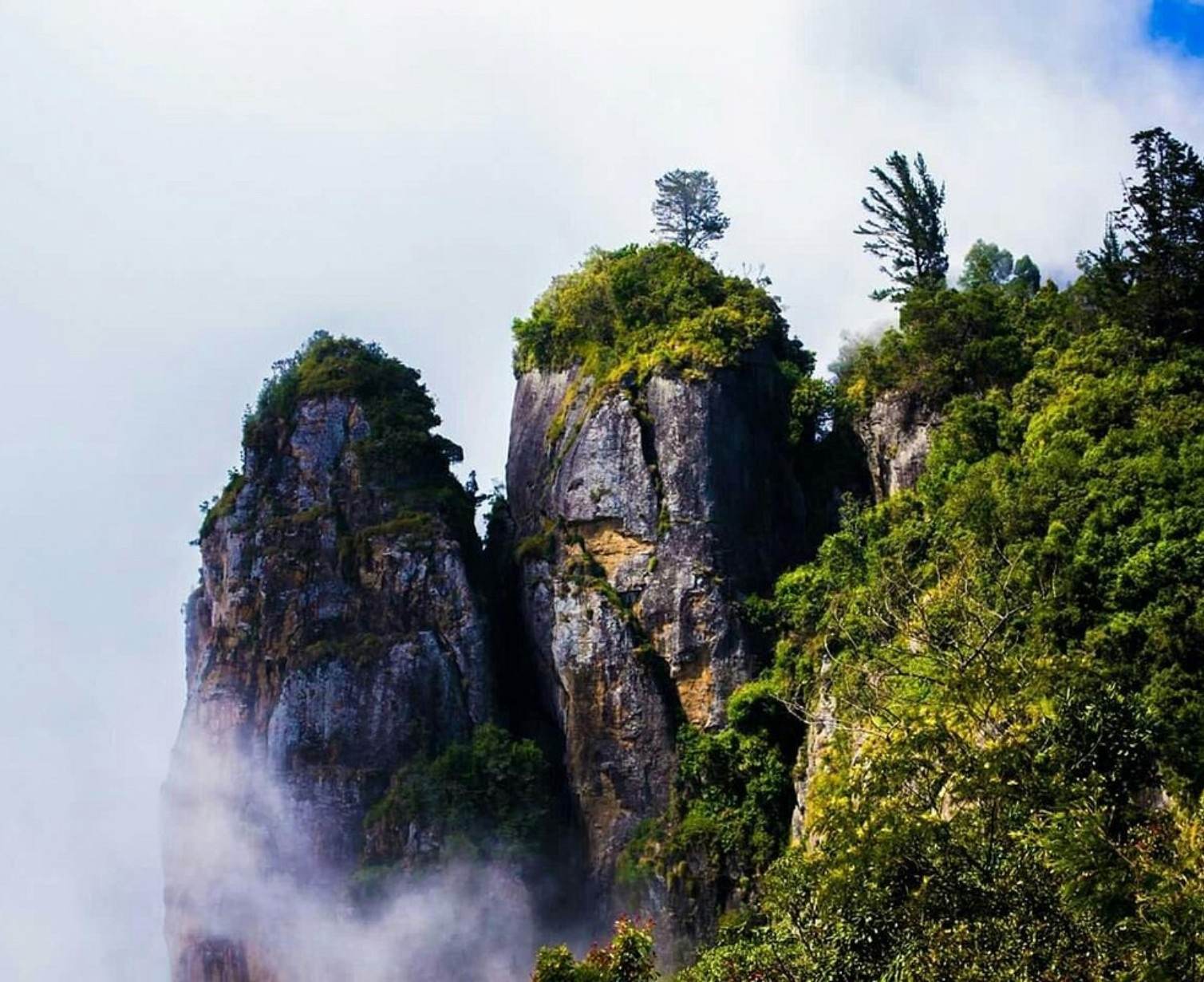 Download Trip Banner