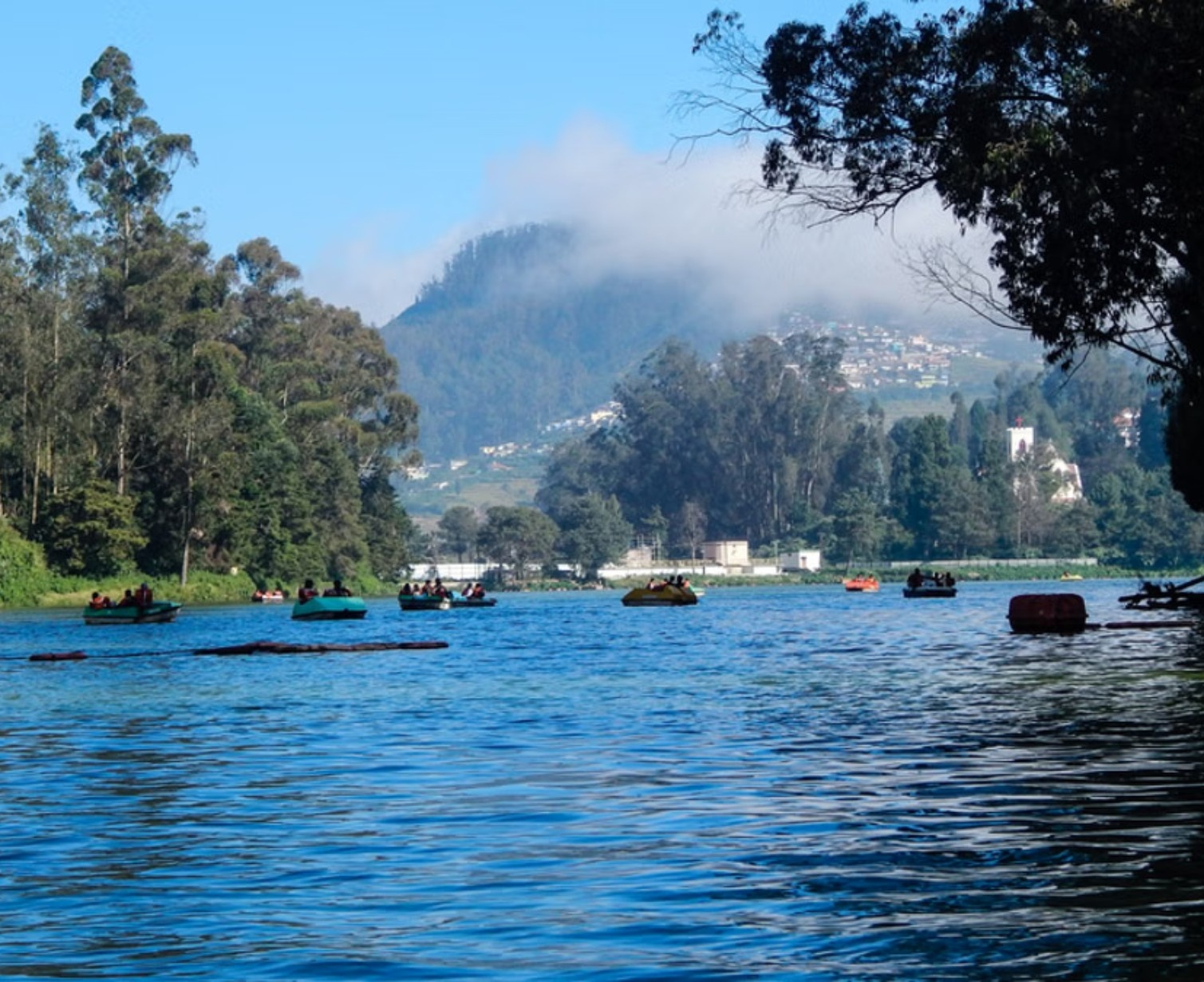 Download Trip Banner