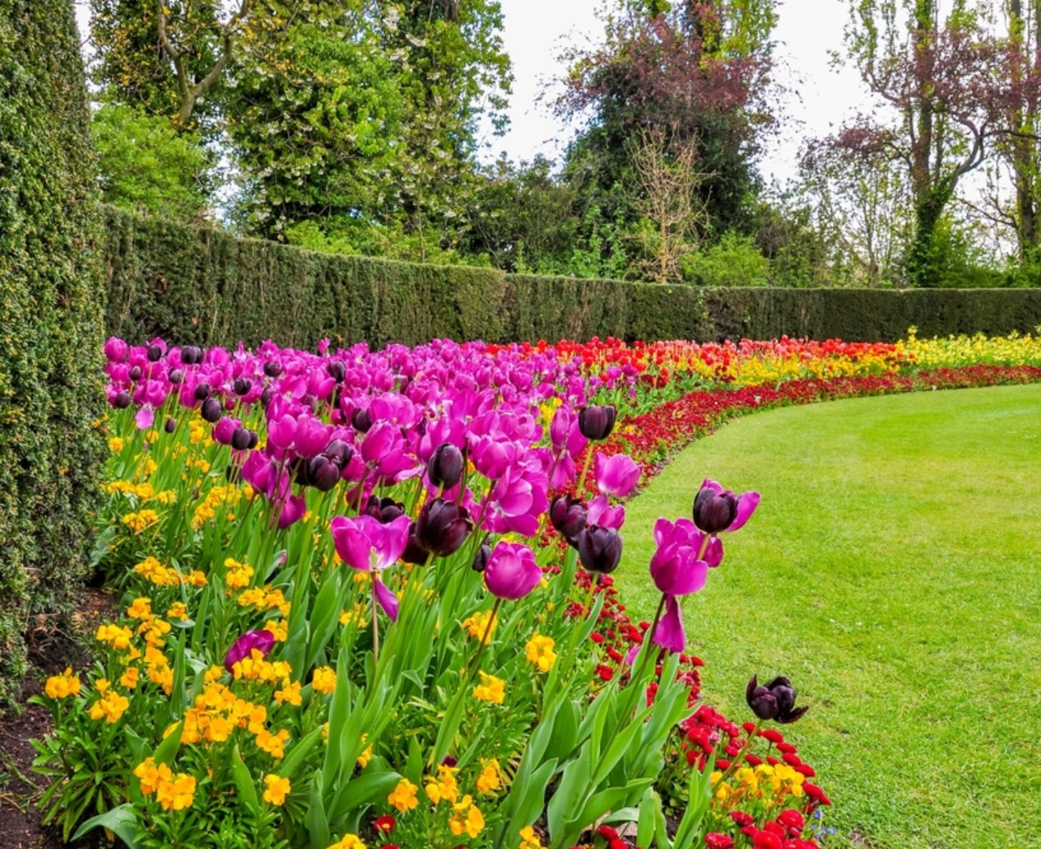 Download Trip Banner