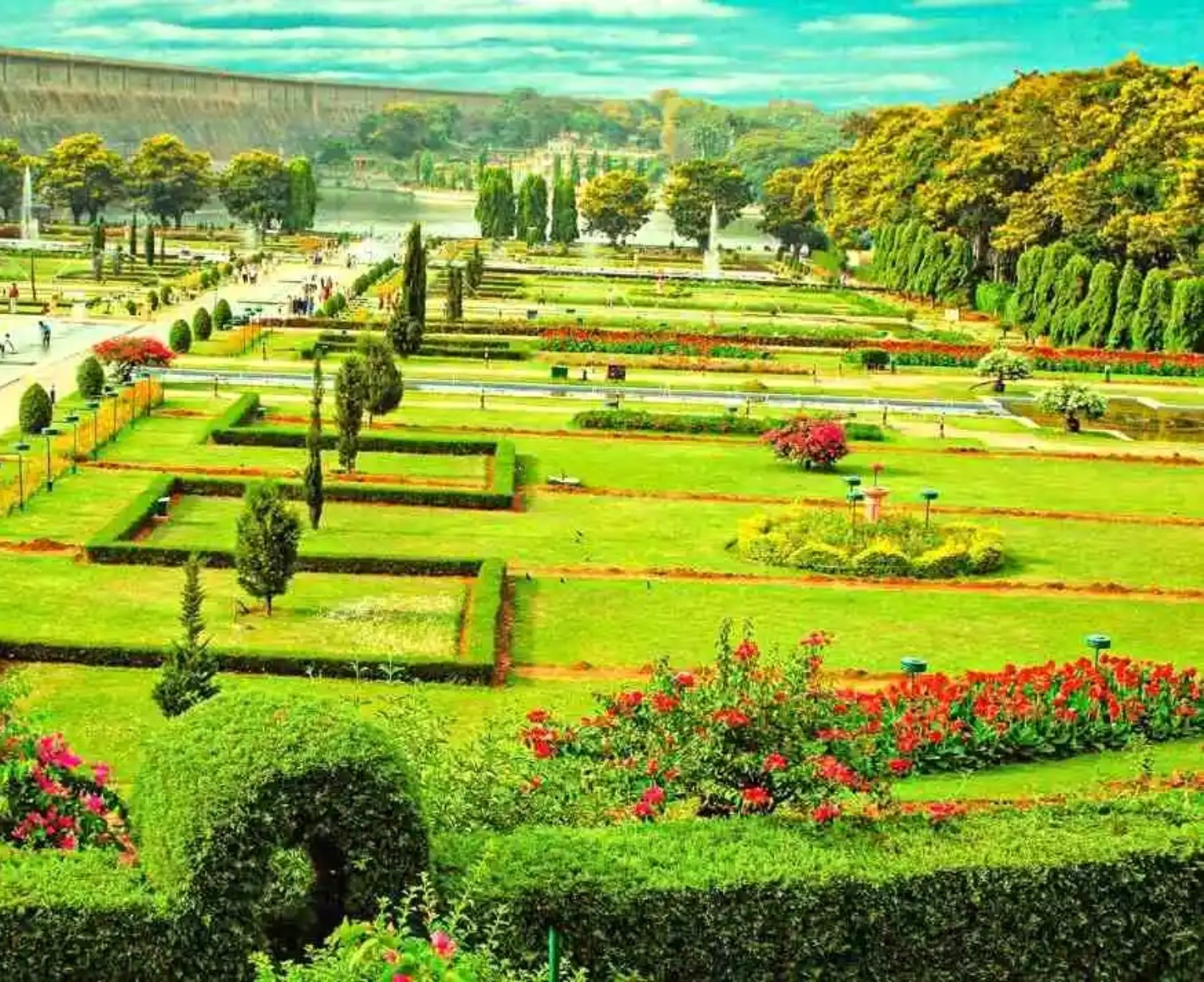 Download Trip Banner