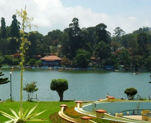 Download Trip Banner