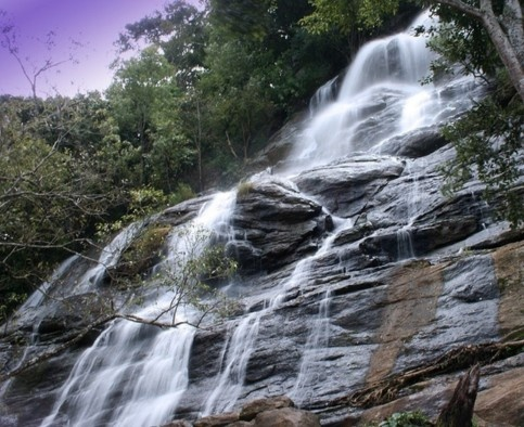 Download Trip Banner